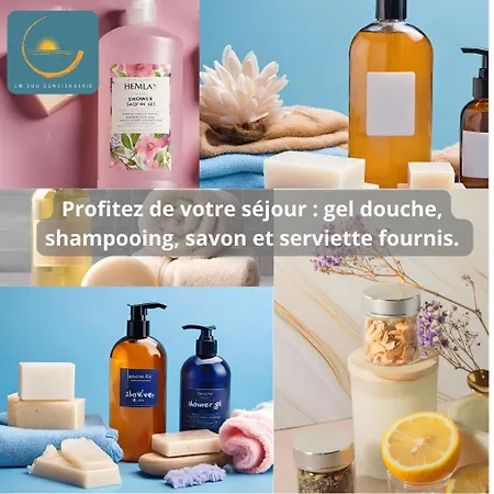 - Coeur De Et Halles Apartment Sete